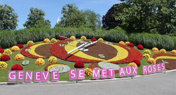 horloge fleurie roses
